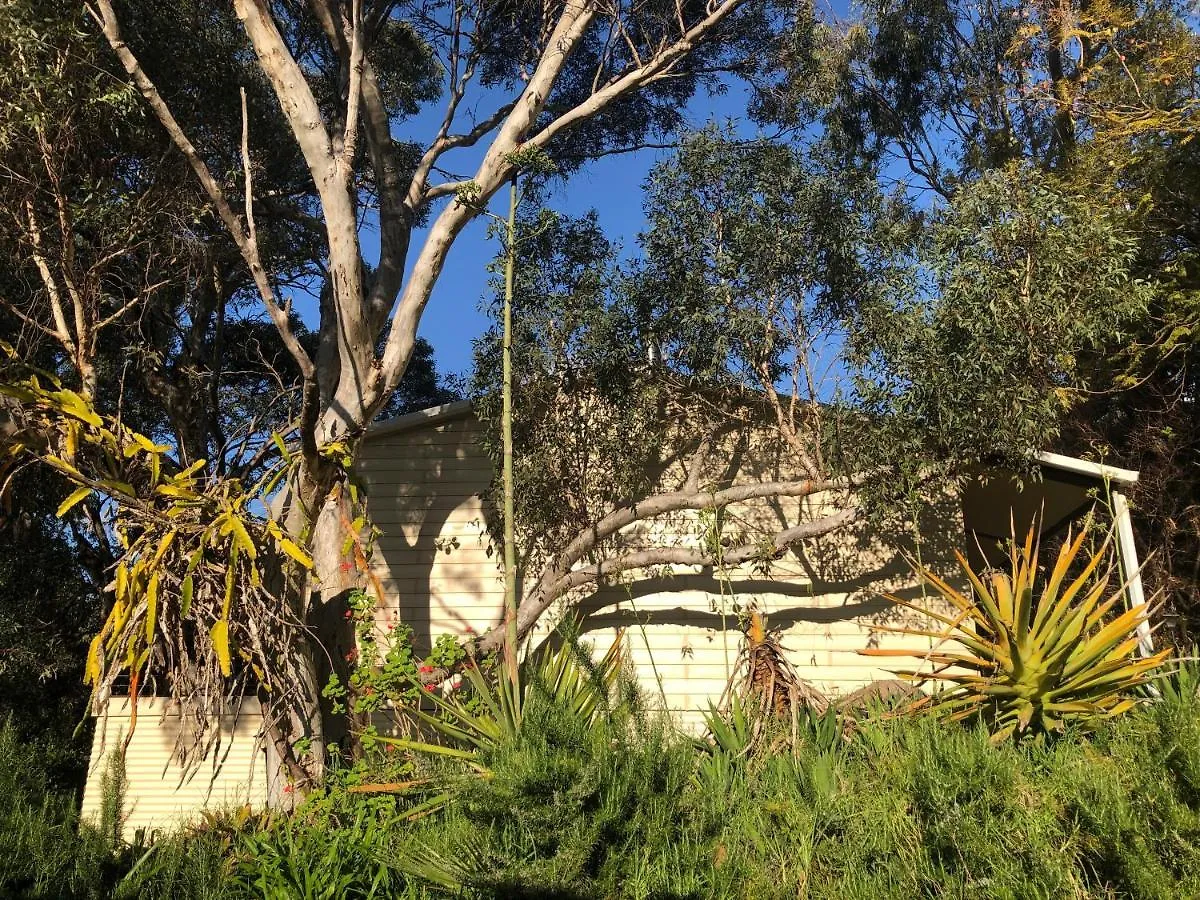 Apartment Treetops Cottage Perth