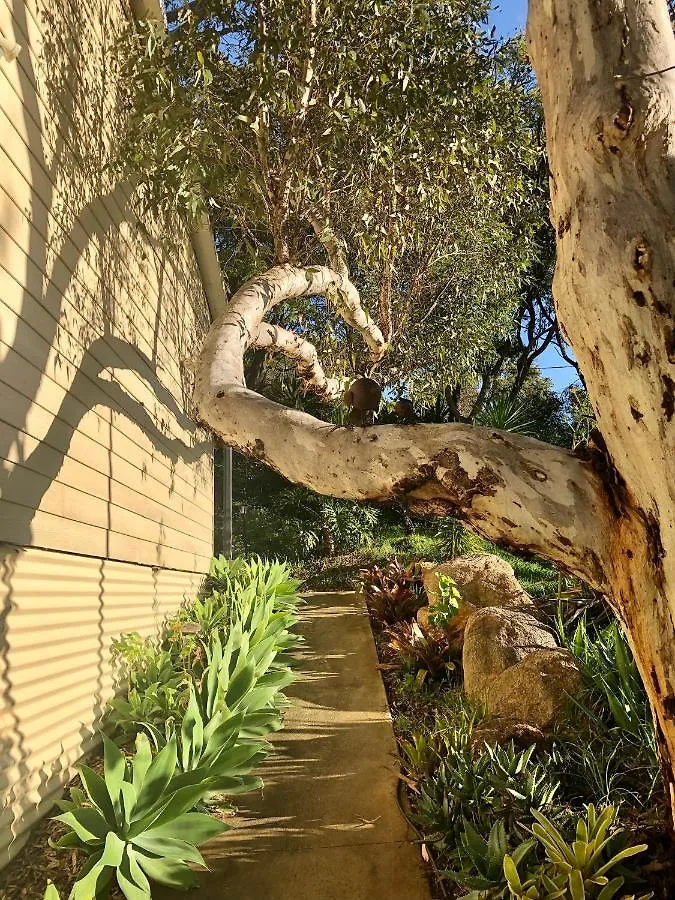 Apartment Treetops Cottage Perth Australia