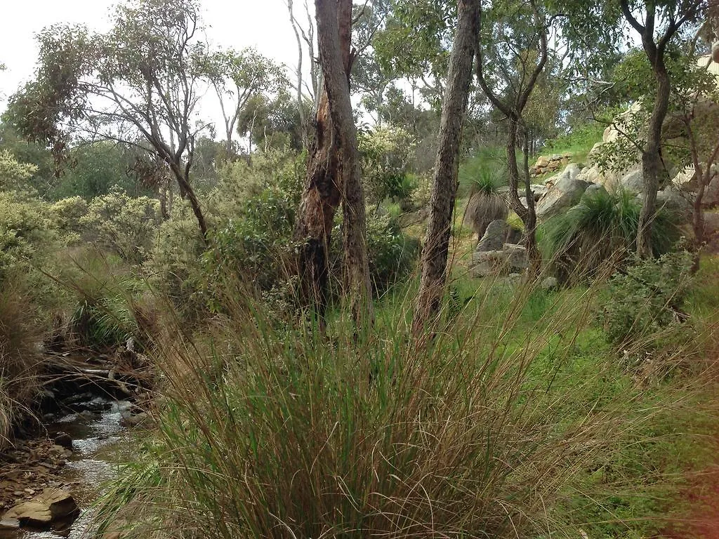 Treetops Cottage Perth