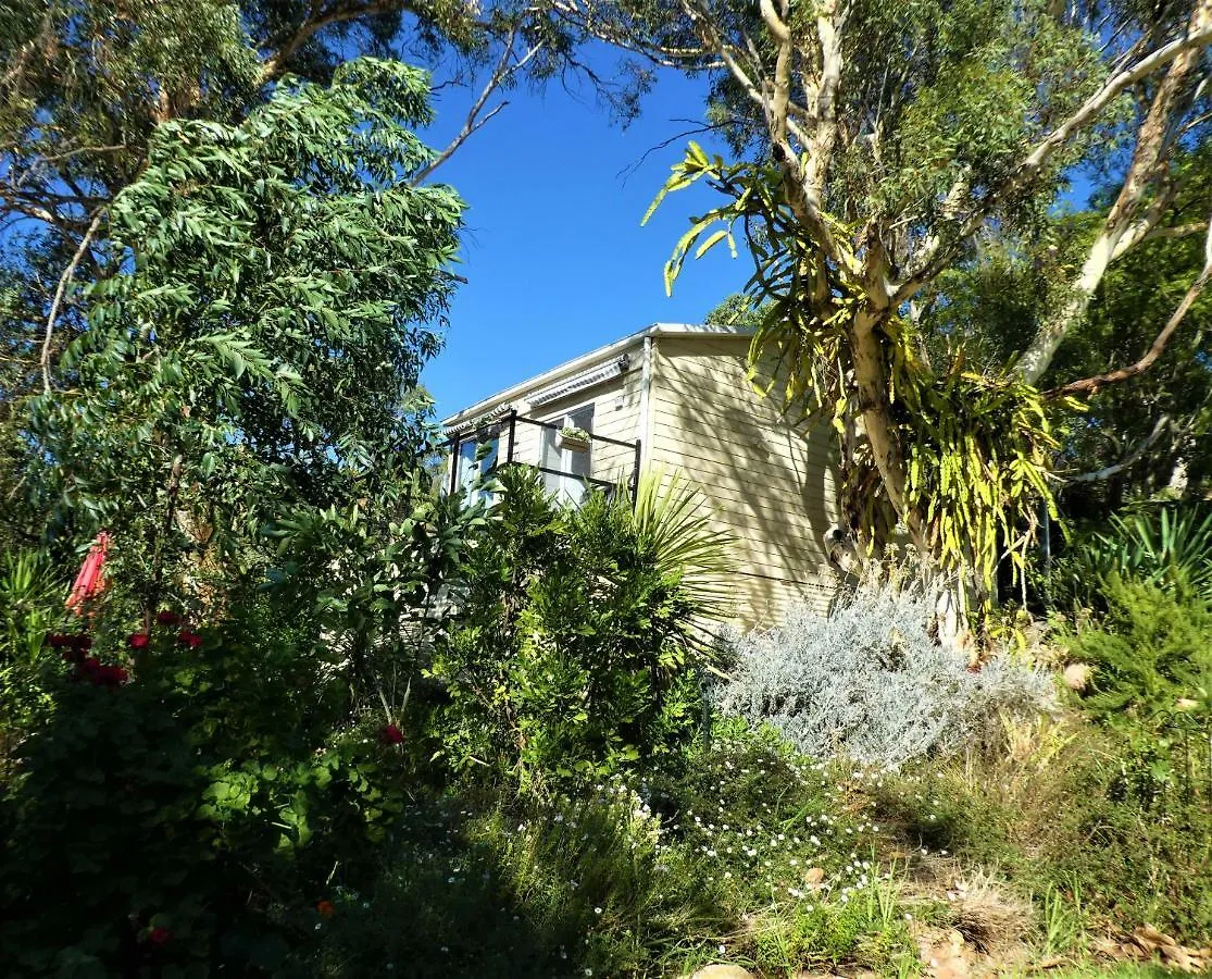 Treetops Cottage Perth Apartment